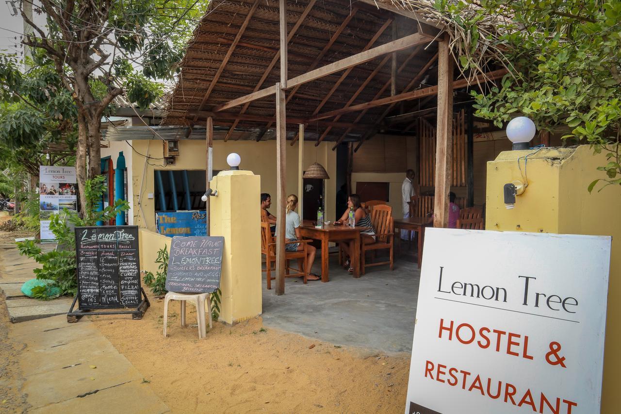Lemon Tree Hostel Arugam Bay Exteriér fotografie